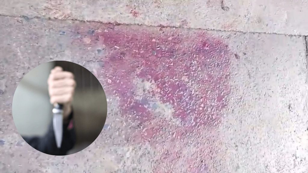 Diseño sin título - 1