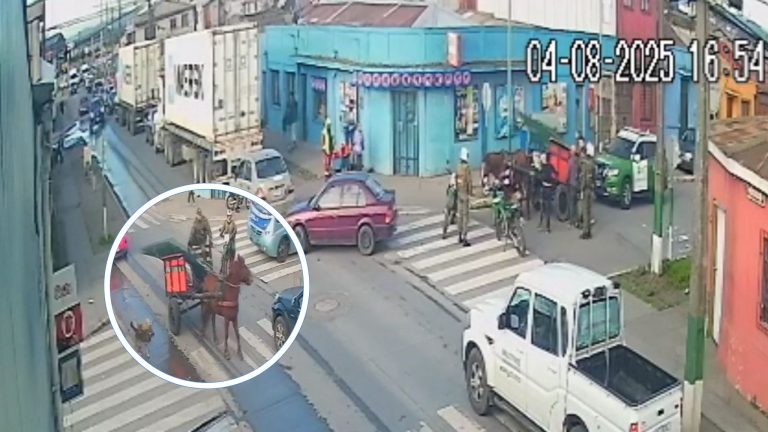 Diseño sin título - 1