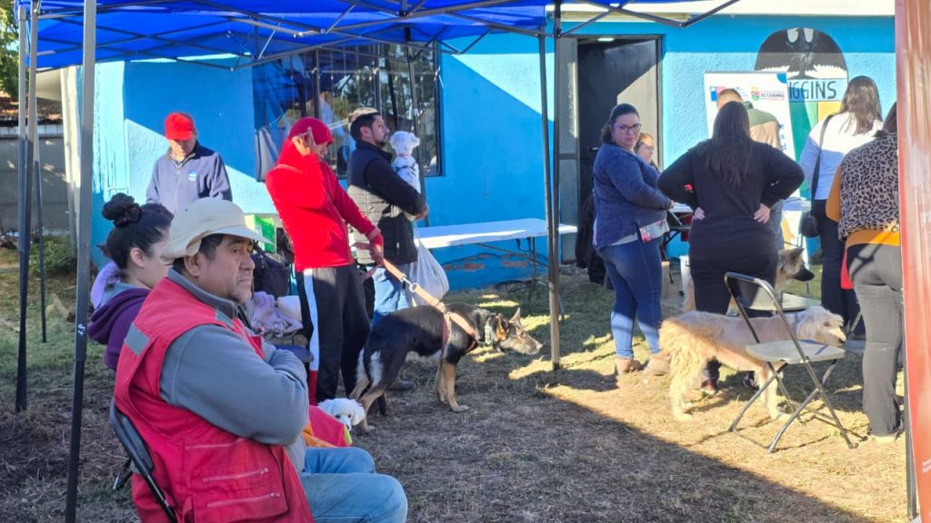 WhatsApp Image 2025-08-20 at 09.42.28