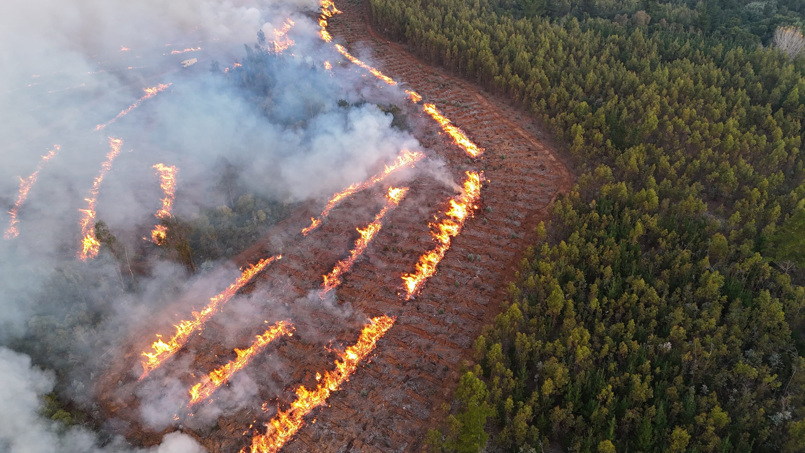 Fuego Técnico 5