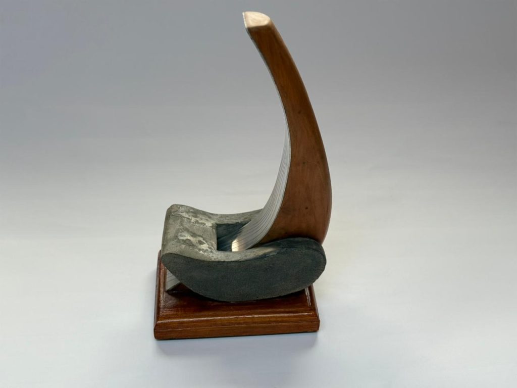 Galardón PR - Autor Rodrigo Piracés