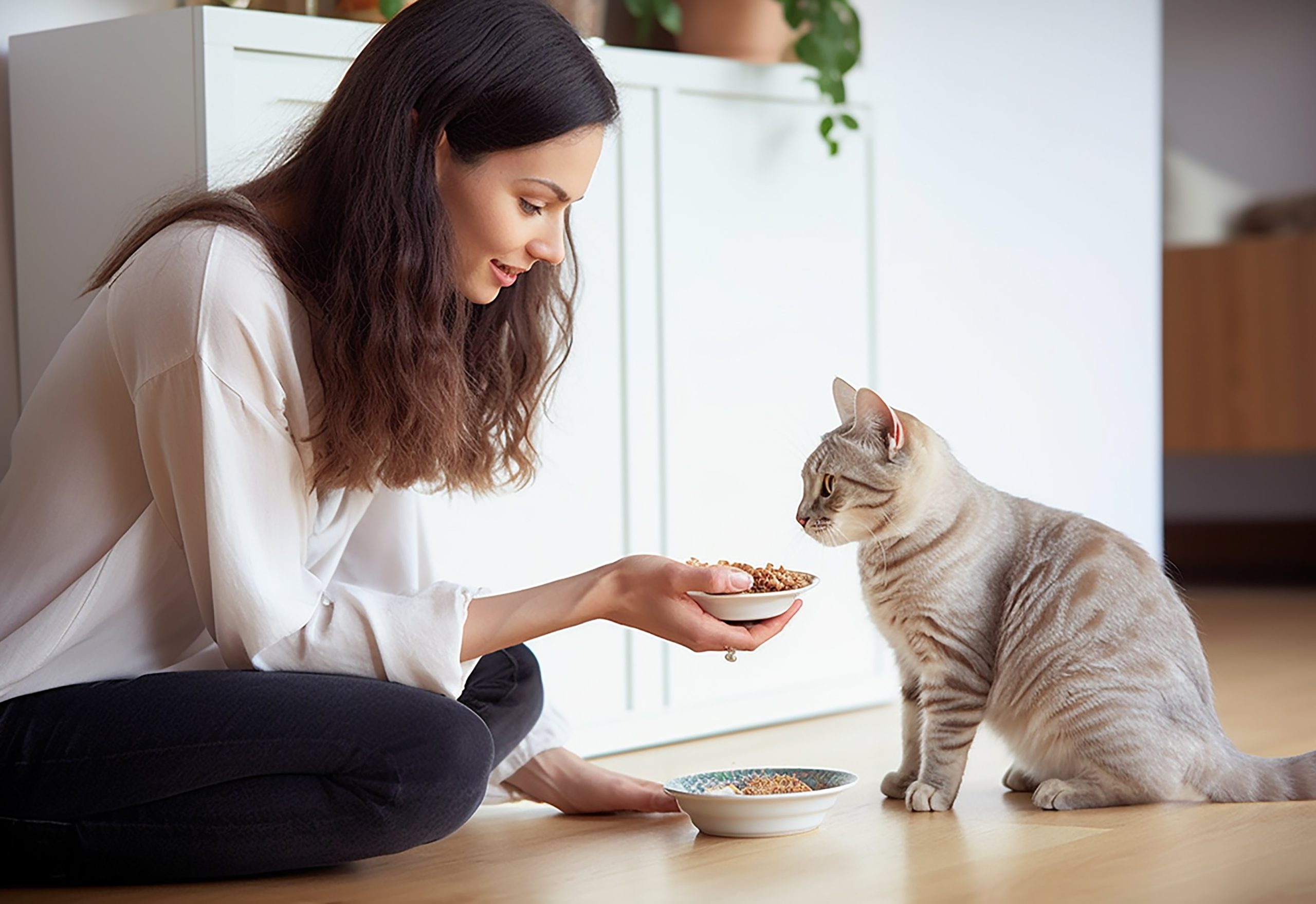 LRM COMUNICACIONES_FNL Lab (3) (1)